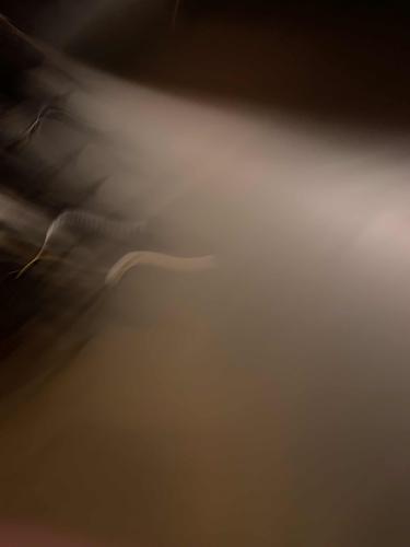 Monday Art Salon, Kapitel 87