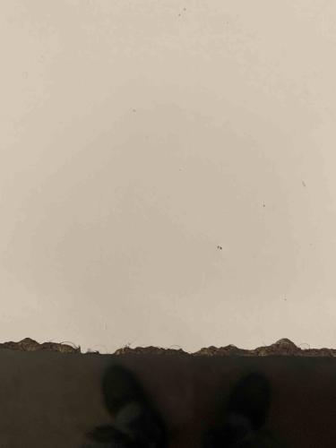 Monday Art Salon - Kapitel 91