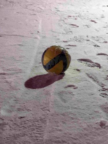 Buy or Destroy PART 2