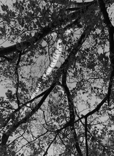 MONDAY ART SALON - Kapitel 43
